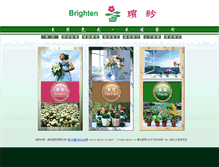 Tablet Screenshot of brighten.cn